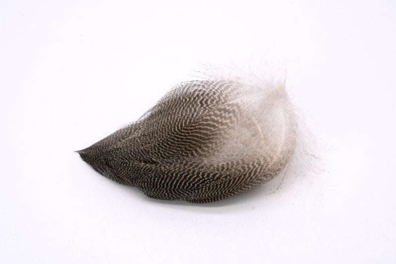 Bulk Gadwall Flank by Feather Craft Fly Fishing