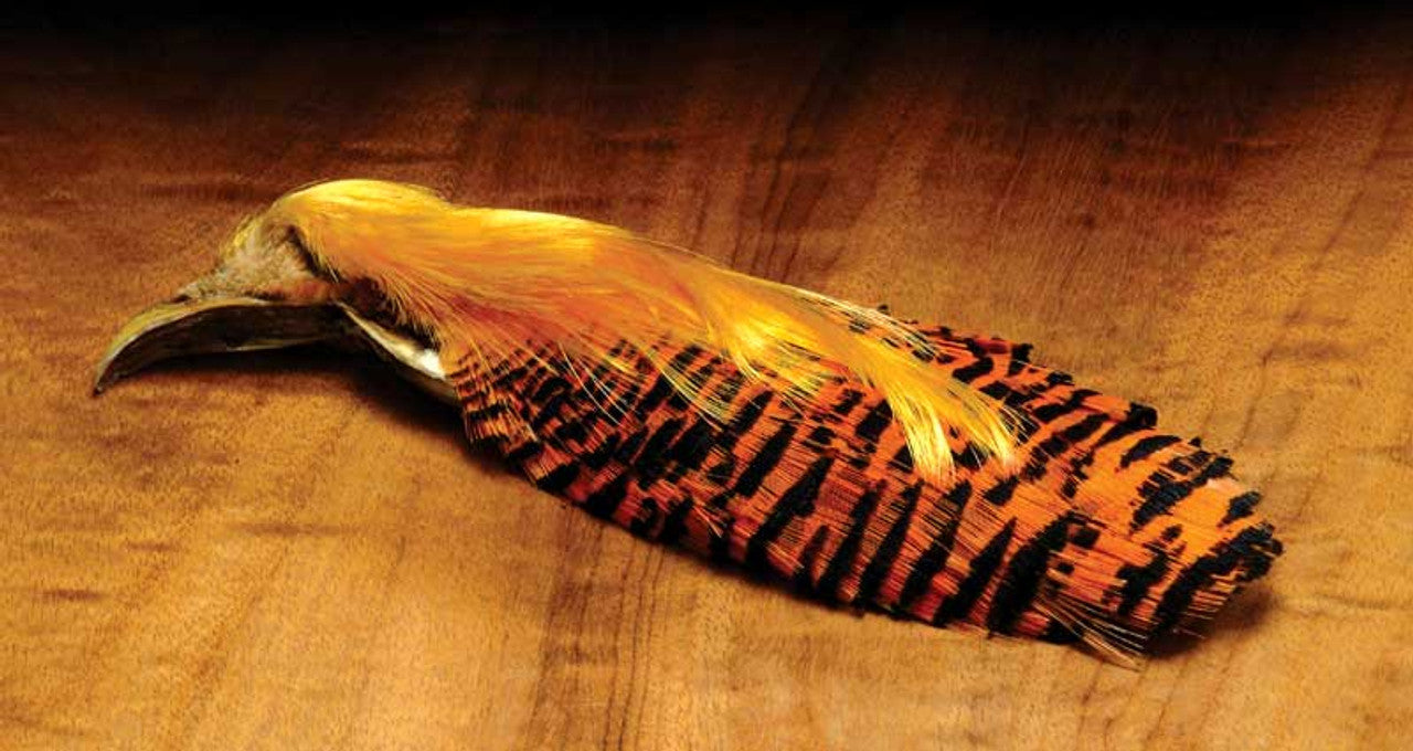 Complete Golden Pheasant Head - Feather Craft Fly Fishing