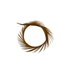 Ginger Goose Biots for Fly Tying