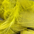 Green_Drake Dyed Mallard Flank for Fly Tying