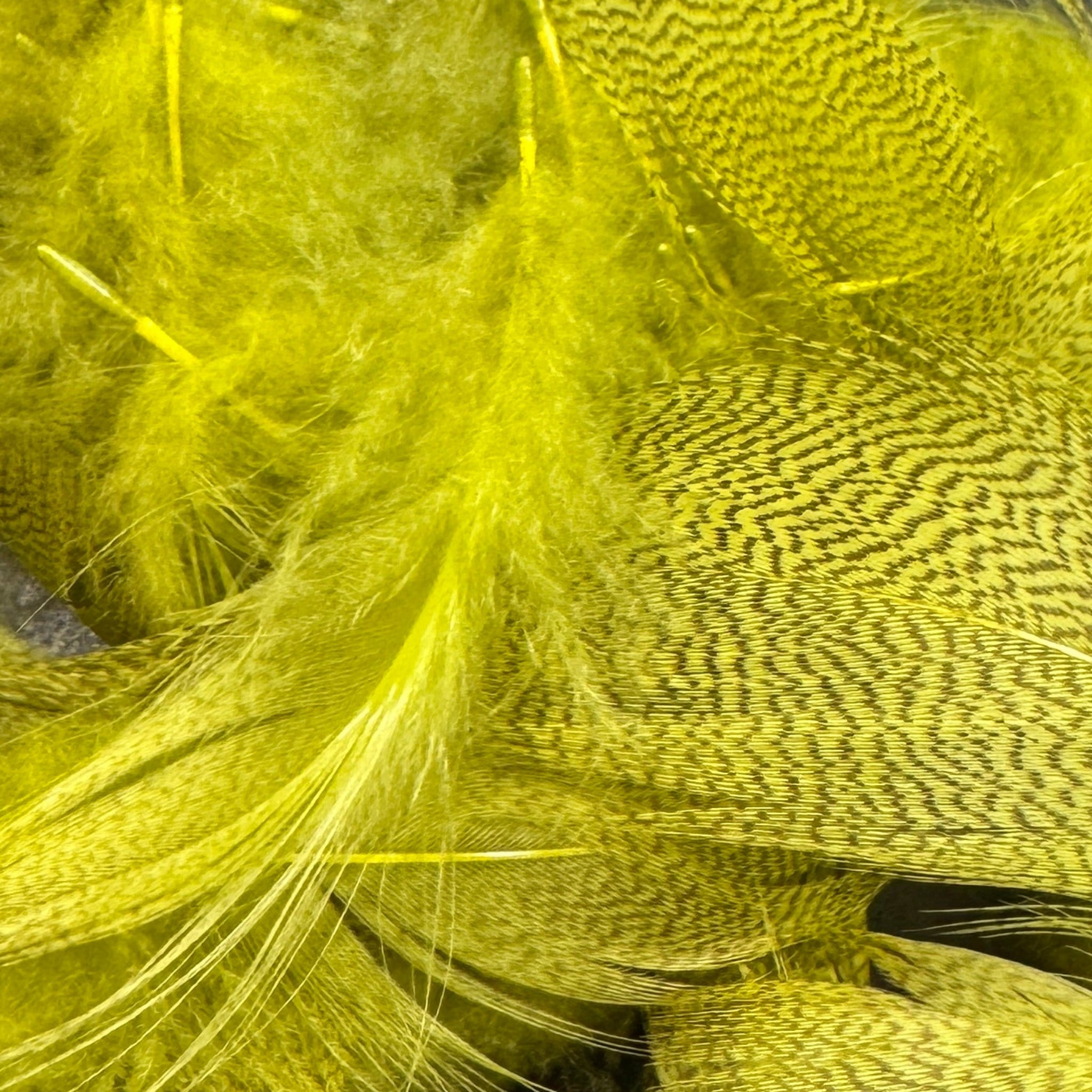 Green_Drake Dyed Mallard Flank for Fly Tying