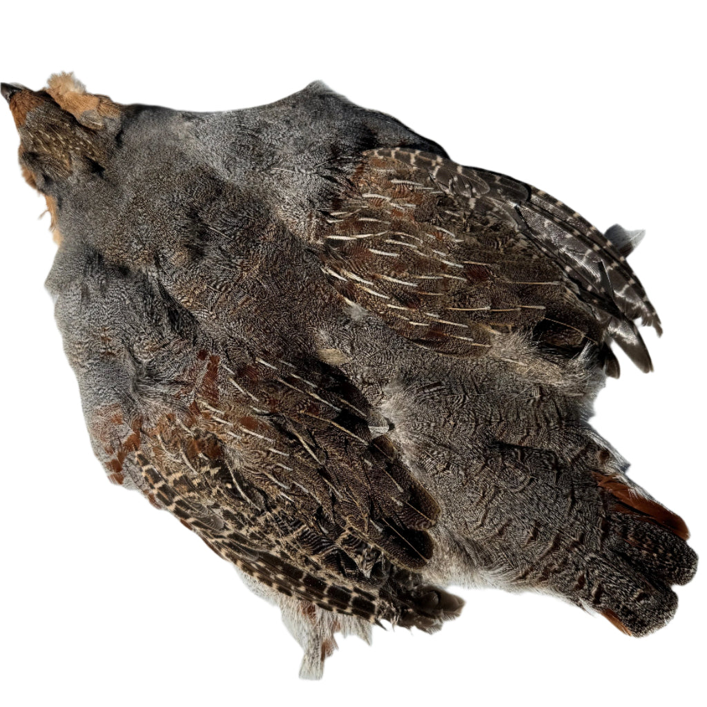 Wild Hungarian Partridge Skins - Grade-1 – Feather Craft Fly Fishing