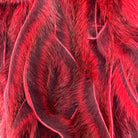 Leech Red Pine Squirrel Skins Zonked for Fly Tying