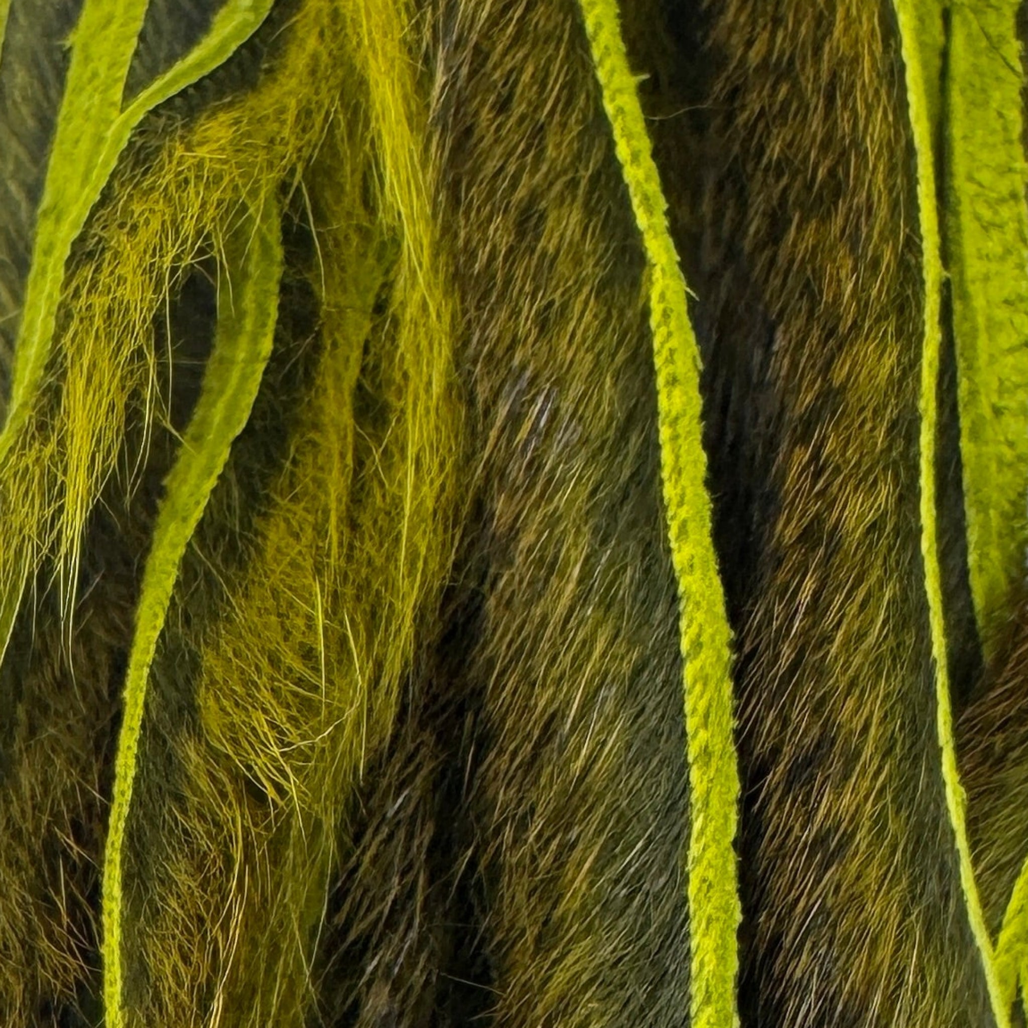 Light Olive Pine Squirrel Skins Zonked for Fly Tying