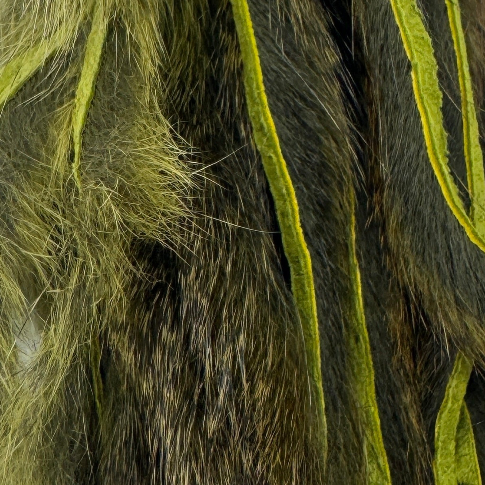 Olive Squirrel Skins Zonked for Fly Tying