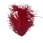 Red Large Ostrich Plume for Fly Tying