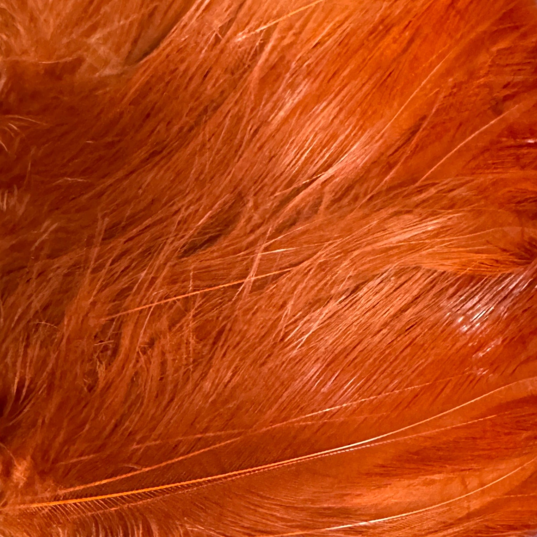 Rootbeer Saltwater Neck Hackle for Fly Tying