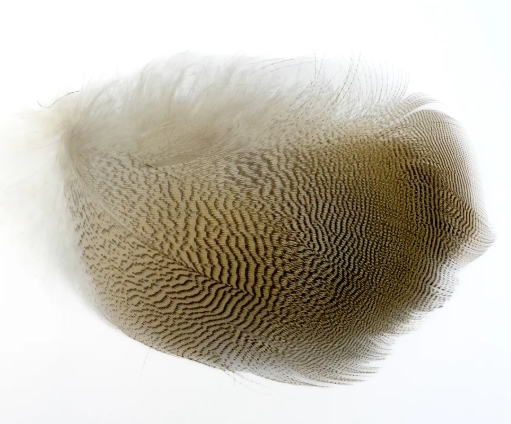 Lemon Wood Duck Flank - Feather Craft Fly Fishing