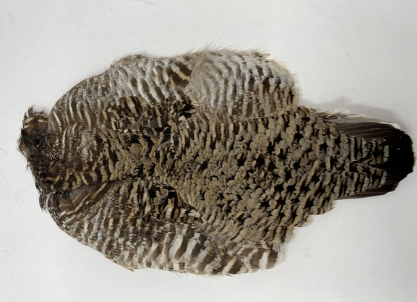 Prairie Chicken Skin - Feather Craft Fly Fishing