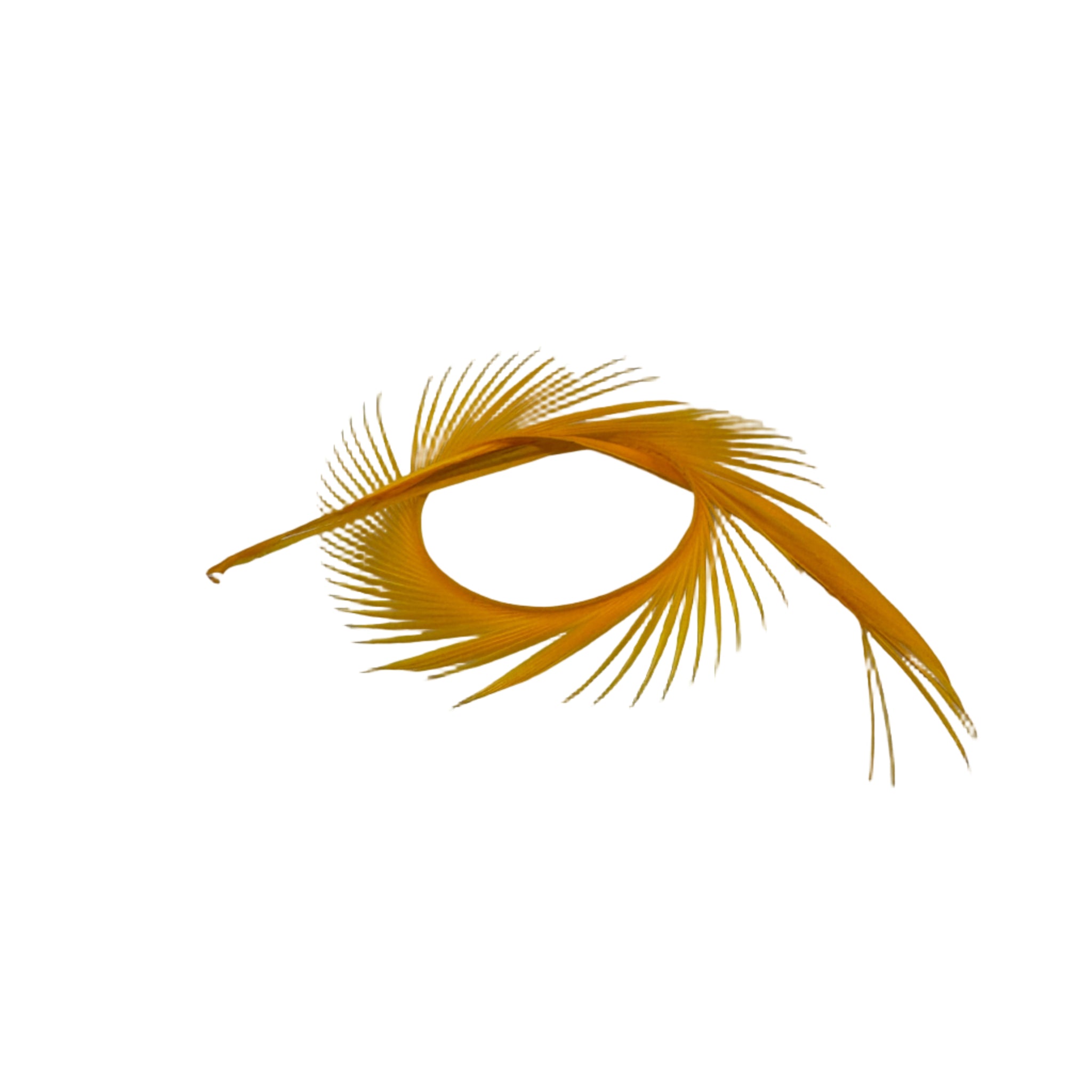 Sulphur Orange Goose Biots for Fly Tying