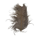 Tan Large Ostrich Plume for Fly Tying