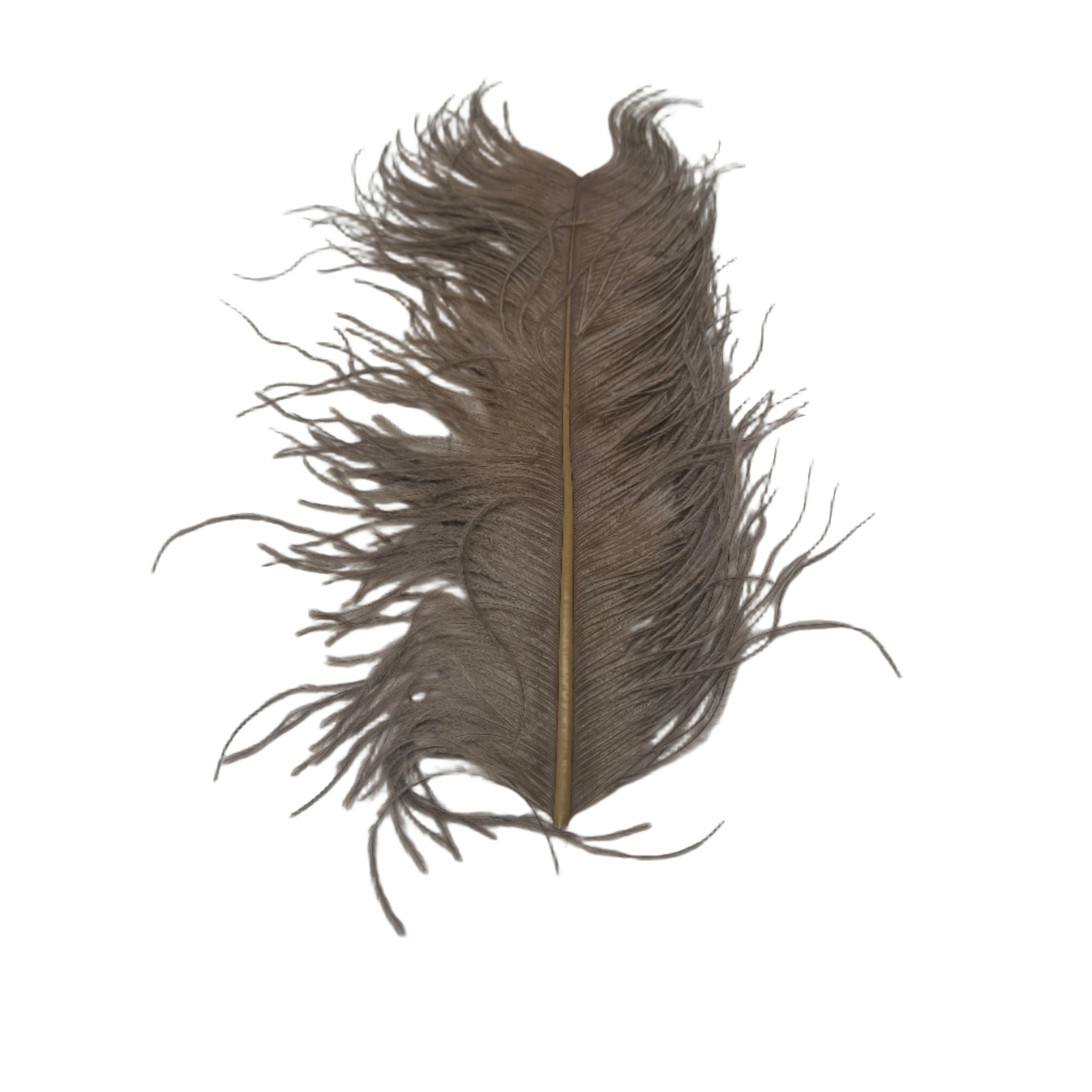 Tan Large Ostrich Plume for Fly Tying