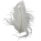White Large Ostrich Plume for Fly Tying