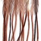 Whiting 100 Packs Brown