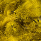 Woodduck Gold Dyed Mallard Flank for Fly Tying