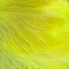 Yellow Saltwater Neck Hackle for Fly Tying