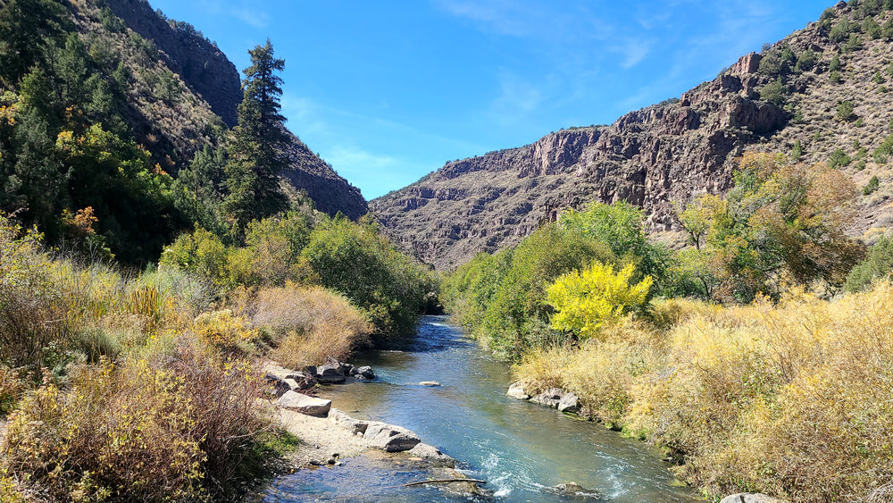 Angler 2026 photo contest entry #187 by Adam Sena in Red River, New Mexico