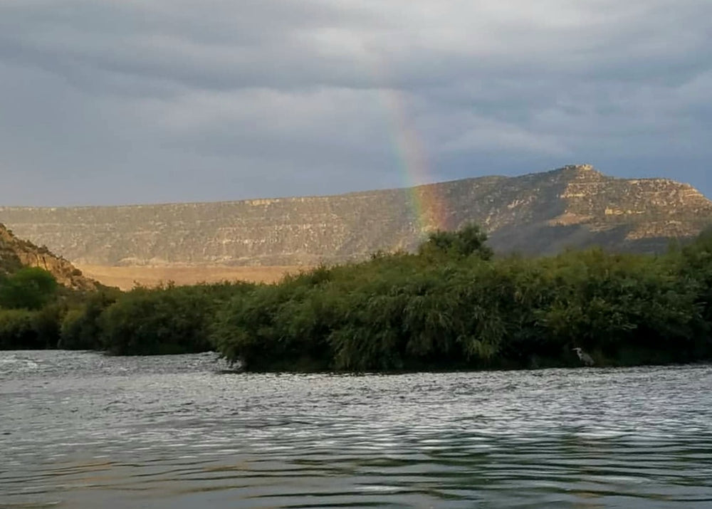 Angler 2026 photo contest entry #188 by Adam Sena in San Juan River, New Mexico