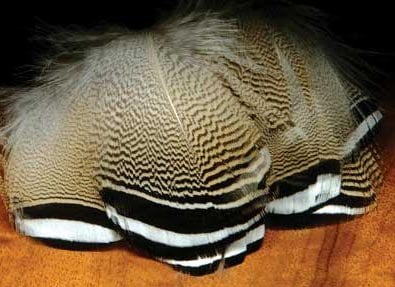Black & White Tip Wood Duck Flank - Feather Craft Fly Fishing