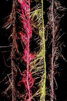 Cascade Crest - Hackle Flash - Feather Craft Fly Fishing