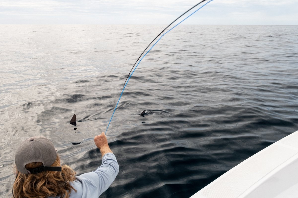 Cortland Line Company - 50+ Series Intermediate - Feather Craft Fly Fishing