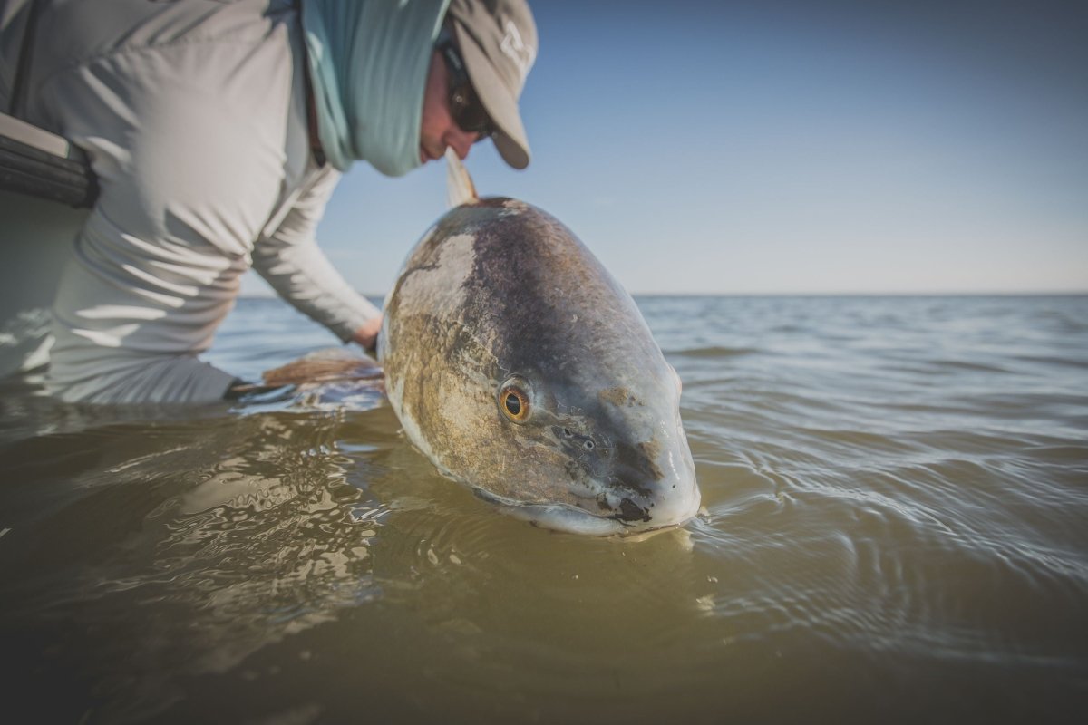 Cortland Line Company - Cold Redfish - Feather Craft Fly Fishing