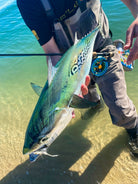 Cortland Line Company - Striped Bass Intermediate - Feather Craft Fly Fishing