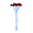 Enrico Puglisi - Enrico Puglisi Crab & Shrimp Eyes - Feather Craft Fly Fishing