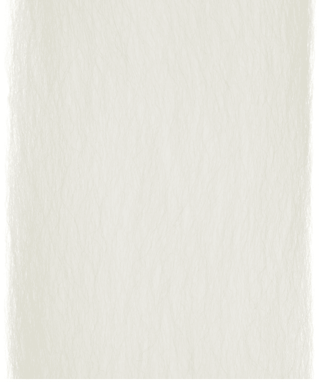 Enrico Puglisi - Enrico Puglisi EP Fibers - Feather Craft Fly Fishing