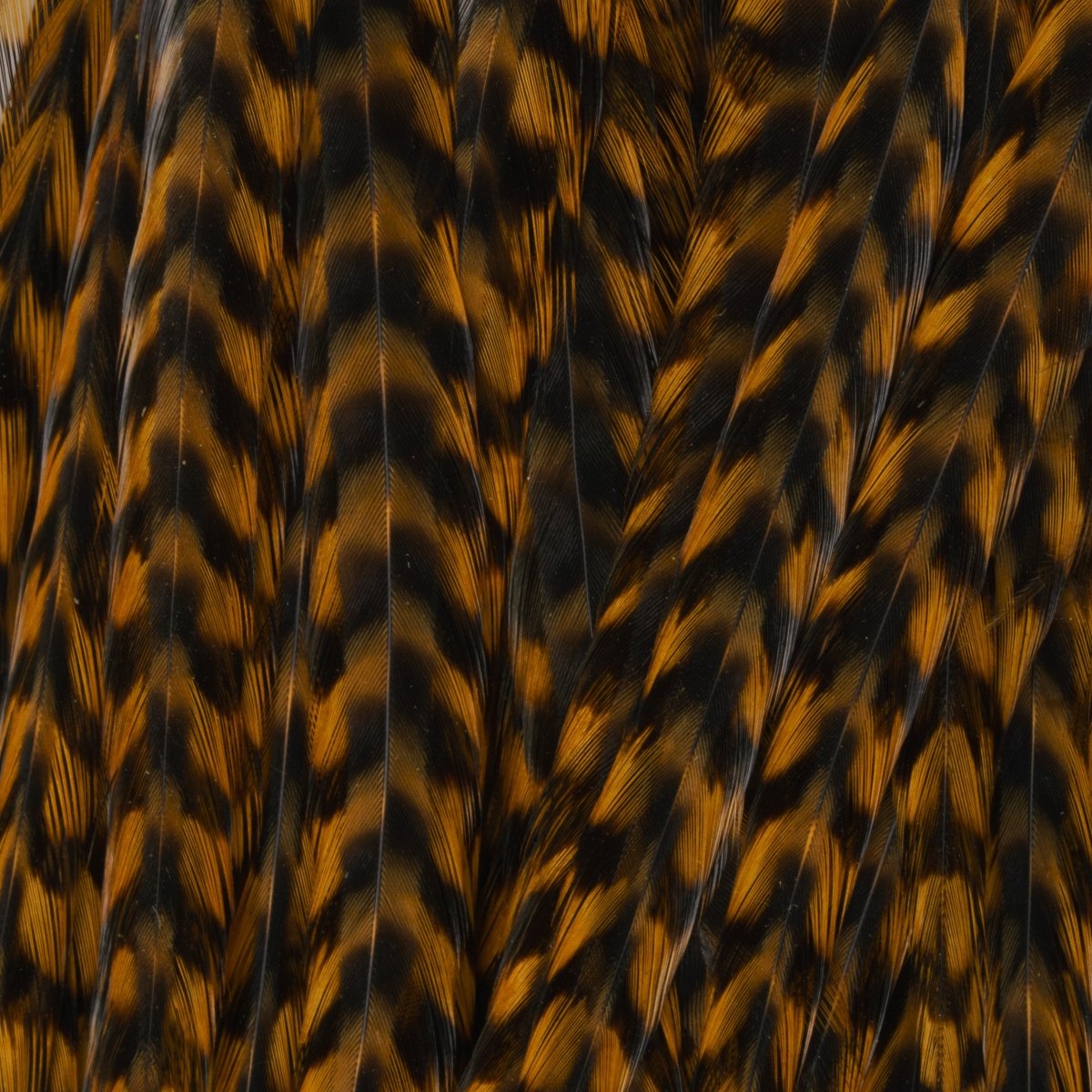 Ewing - Ewing Woolly Bugger Hackle Packs - Feather Craft Fly Fishing