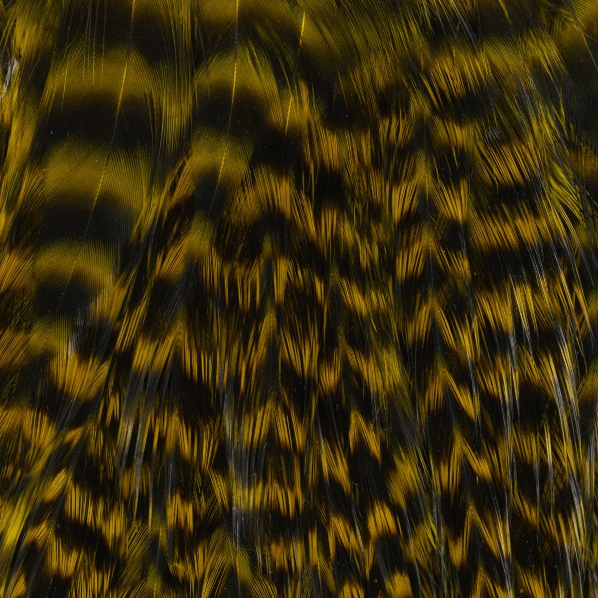 Ewing - Ewing Woolly Bugger Hackle Packs - Feather Craft Fly Fishing