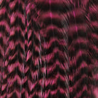 Ewing - Ewing Woolly Bugger Hackle Packs - Feather Craft Fly Fishing