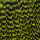 Ewing - Ewing Woolly Bugger Hackle Packs - Feather Craft Fly Fishing