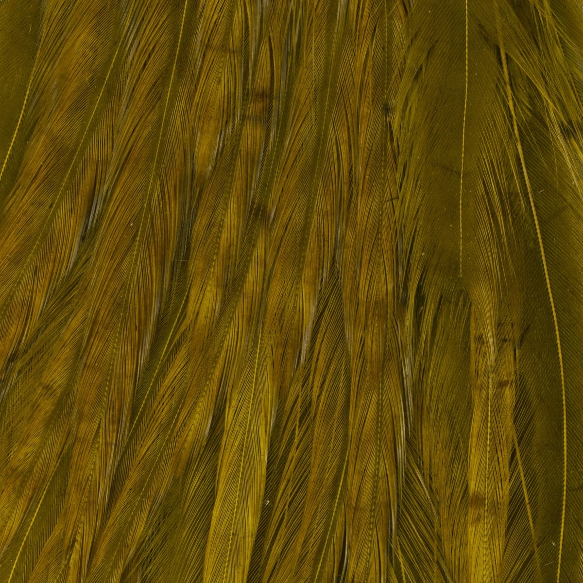 Ewing - Ewing Woolly Bugger Hackle Packs - Feather Craft Fly Fishing