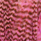 Ewing - Ewing Woolly Bugger Hackle Packs - Feather Craft Fly Fishing