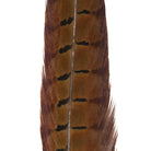 Feather Craft - Feather Craft Cock Ringneck Pheasant Center Tail - Feather Craft Fly Fishing