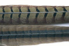 Feather Craft - Feather Craft Cock Ringneck Pheasant Center Tail - Feather Craft Fly Fishing