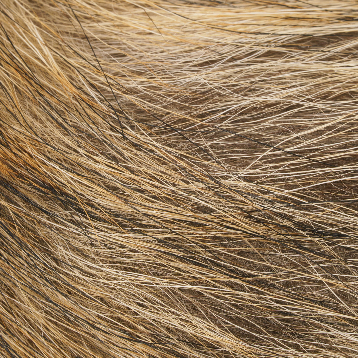 Feather Craft - Feather Craft Coyote Tail Piece - Feather Craft Fly Fishing