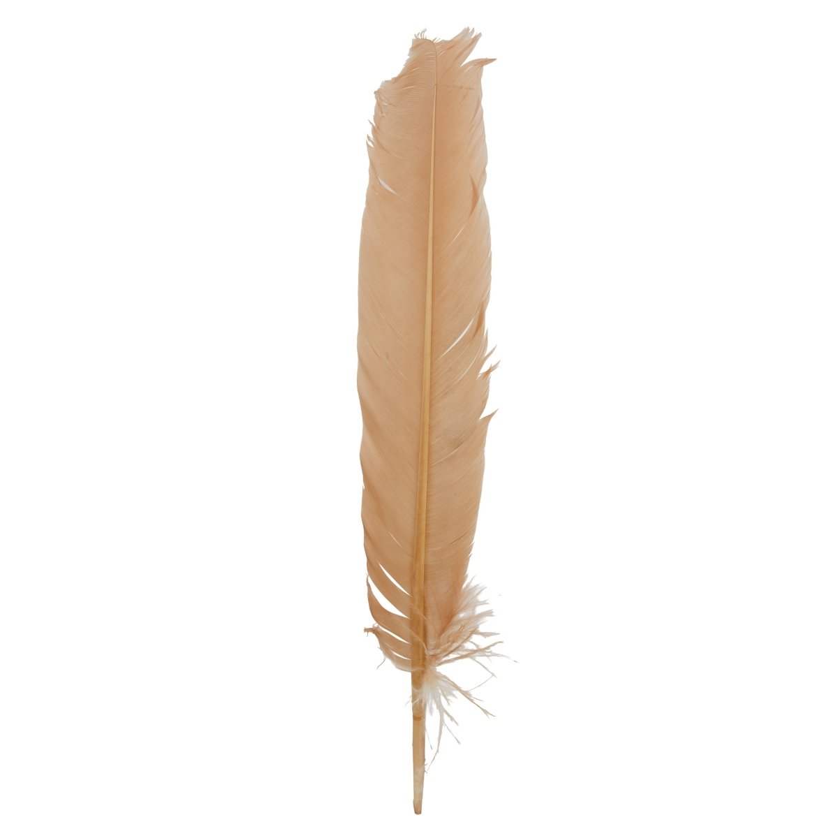 Feather Craft - Feather Craft Dyed Turkey Rounds - Feather Craft Fly Fishing