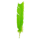 Feather Craft - Feather Craft Dyed Turkey Rounds - Feather Craft Fly Fishing
