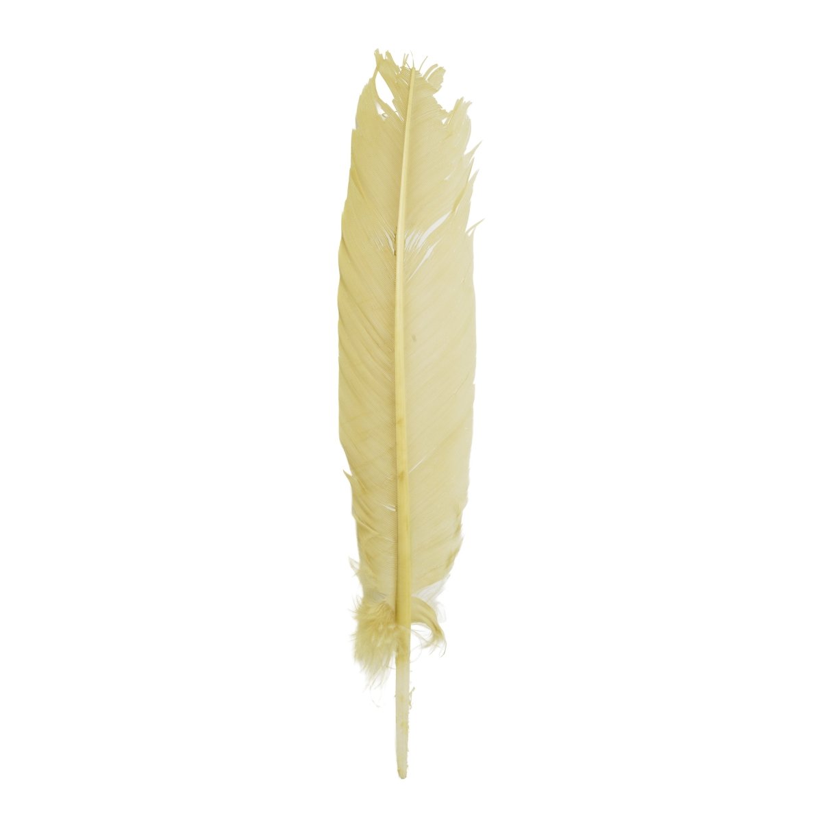 Feather Craft - Feather Craft Dyed Turkey Rounds - Feather Craft Fly Fishing