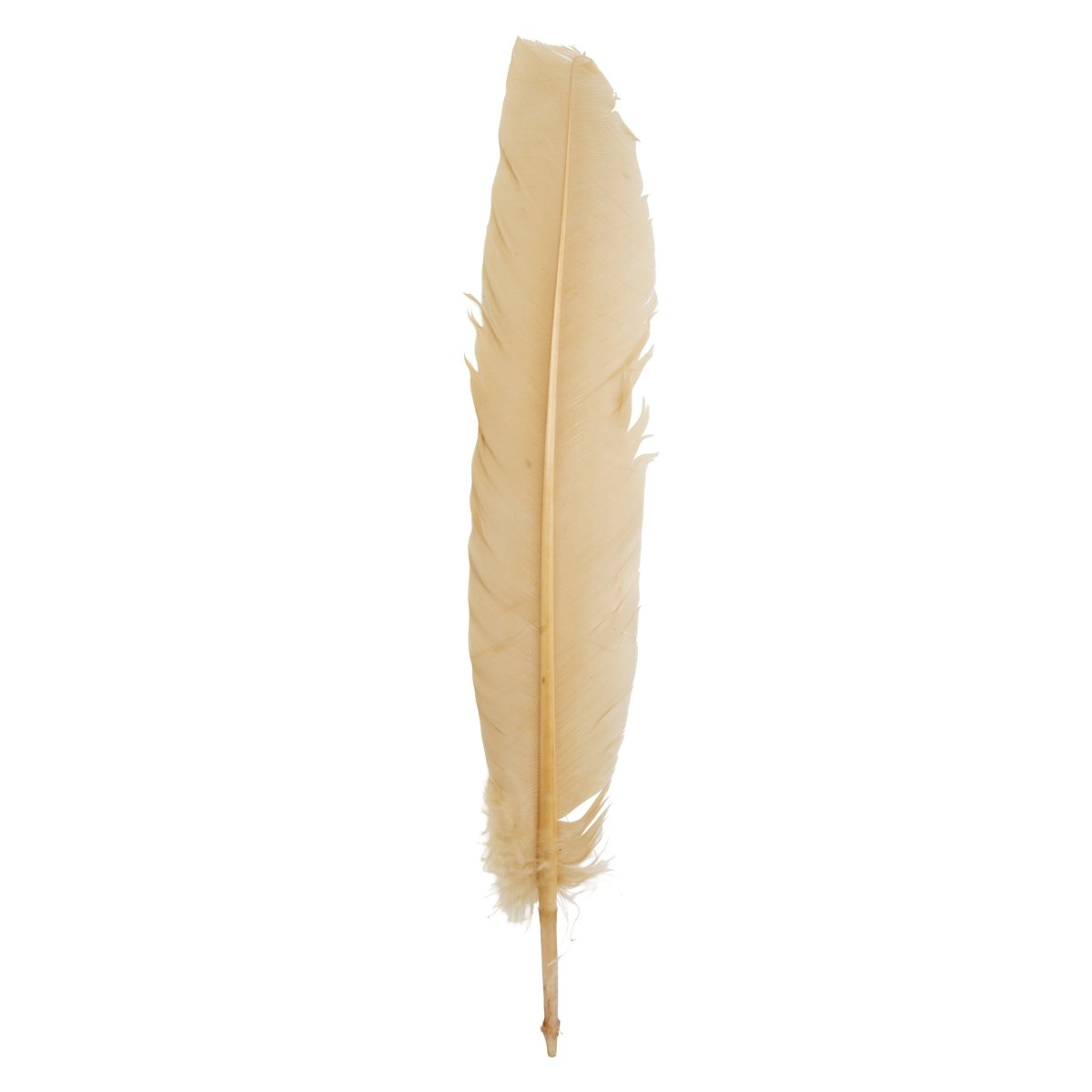 Feather Craft - Feather Craft Dyed Turkey Rounds - Feather Craft Fly Fishing