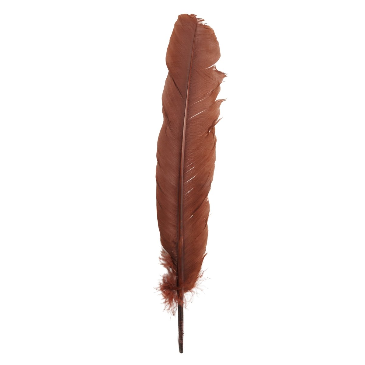Feather Craft - Feather Craft Dyed Turkey Rounds - Feather Craft Fly Fishing