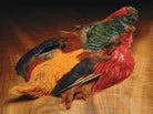 Feather Craft - Feather - Craft Golden Pheasant 1/2 Skins - Feather Craft Fly Fishing