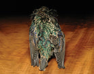 Feather Craft - Feather - Craft Premium Starling Skin - Feather Craft Fly Fishing