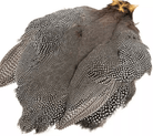 Feather Craft - Guinea Whole Skins - Feather Craft Fly Fishing