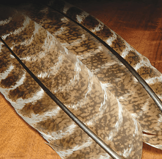 Feather Craft - Ozark Oak Mottled Wild Turkey Wing Quills - Feather Craft Fly Fishing