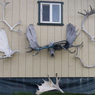 Feather Craft Pursuits - Alaska Trophy Adventures Lodge - Feather Craft Fly Fishing