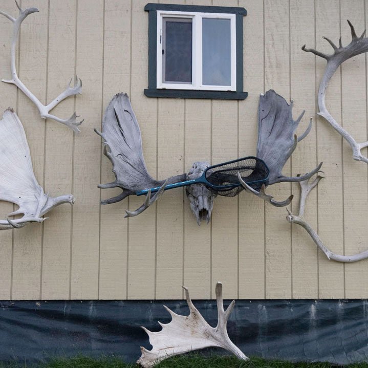 Feather Craft Pursuits - Alaska Trophy Adventures Lodge - Feather Craft Fly Fishing