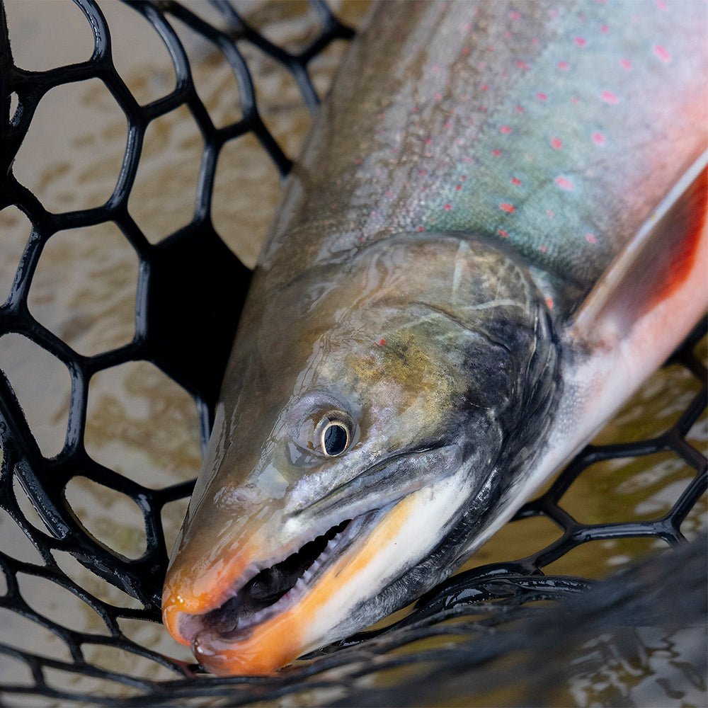 Feather Craft Pursuits - Alaska Trophy Adventures Lodge - Feather Craft Fly Fishing